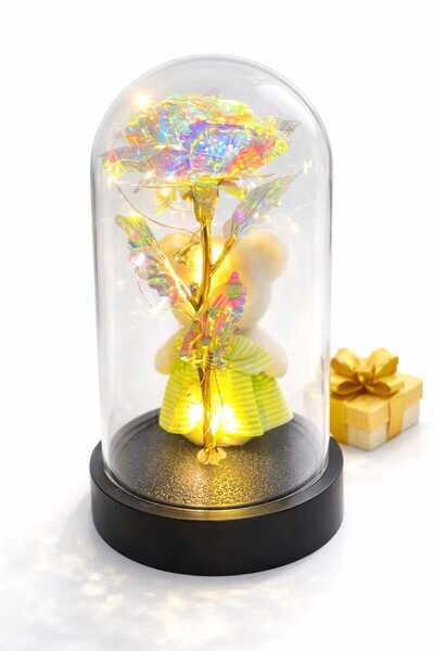 Ay SEVDİKLERİNİZE ÖZEL LED IŞIKLI FANUS SONSUZ AŞK AYİCİKLARI