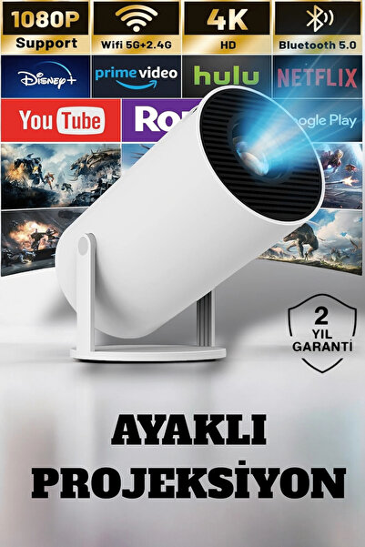 Twin Store 160 Ansi Lumen Wireless Projection with HDMI and Full Hd Technology