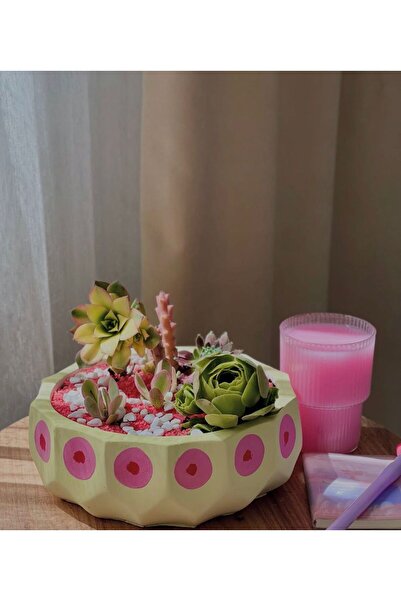 Hakdua Dizayn (BİTKİLİ) Premium Beton Saksıda Bohem Tasarım Sukulent Aranjman...