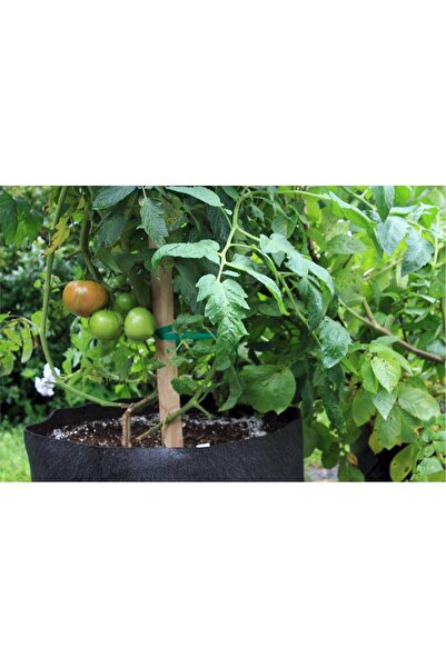 Generic Smart Pots Soft-Sided Pot 5 Gallon, Black with Cut Handles, Fabric