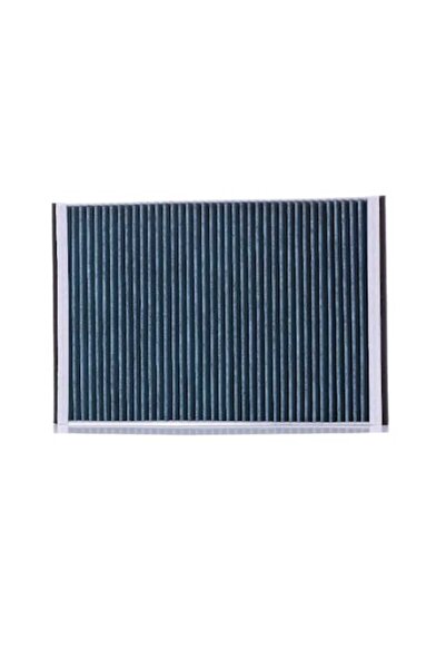 Bosch Filtru Aer Habitaclu Datsun Go+ Ford Escrt 6/Escrt Classic 1995-2017