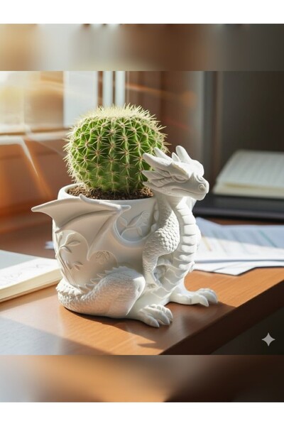 Linamila store1 Ejderha Saksı, Kalemlik, Mumluk