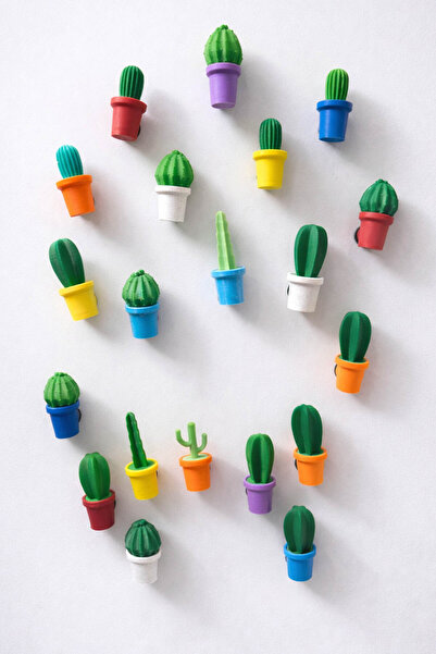 expres hediye Dekoratif Kaktüs Buzdolabı Magnet Seti | 6’lı Renkli Kaktüs Magnet