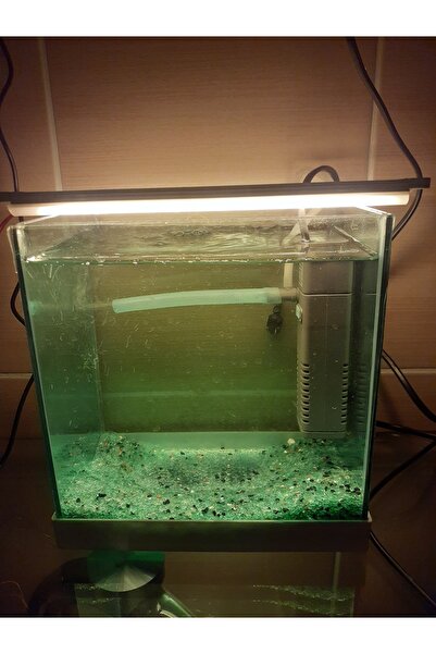 bidevre Akvaryum Ve Araç Içi Led Aydınlatma, 25 Cm, Mavi, 12 Volt Adaptör Ile...