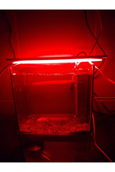 bidevre Akvaryum Ve Araç Içi Led Aydınlatma, 25 Cm, Mavi, 12 Volt Adaptör Ile...