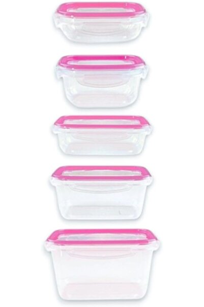 kleez Food Container Lunch Box Set of 5 – Airtight, Leak-Proof, Four Clip Lids