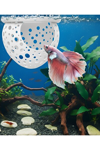 Akvaryum Beta Dinlenme Alanı Beta Tüneli Beta Yuvası ( Karma Renklerde )
