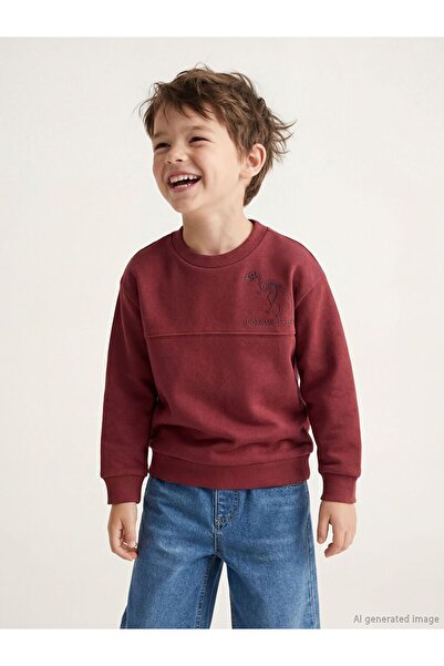 LC Waikiki Crew Neck Printed Boy's Thick Sweatshirt