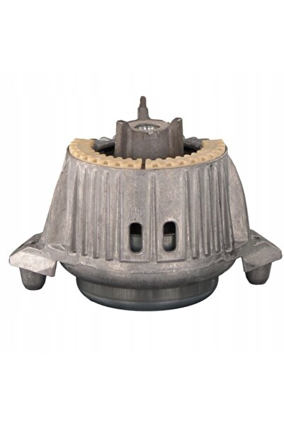 FEBI BILSTEIN Suport motor, FEBI BILSTEIN, 101077