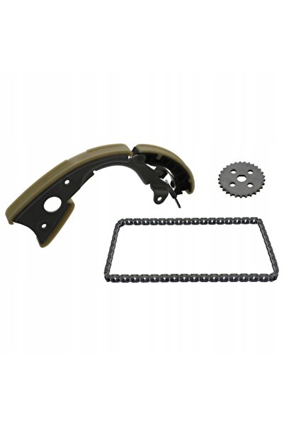 FEBI BILSTEIN 48410 Pompă de ulei cu lanț de transmisie