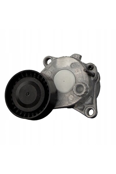 FEBI BILSTEIN Întinzător de curele, Febi Bilstein, 38466