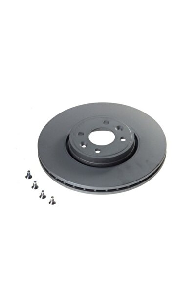 Ate Disc de frână RENAULT SCÉNIC II JM0 1