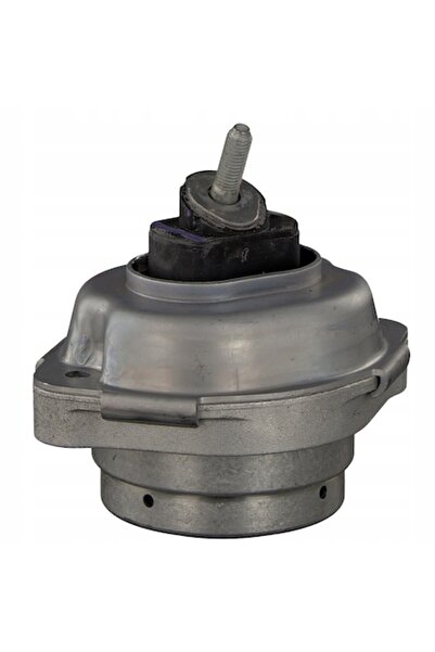 FEBI BILSTEIN Suport Motor Pe Ambele Parti Bmw X5 2001-2006
