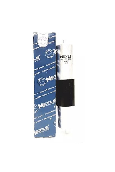 MEYLE Filtru de combustibil, MEYLE, 55 mm, 300 mm, pentru autoturisme