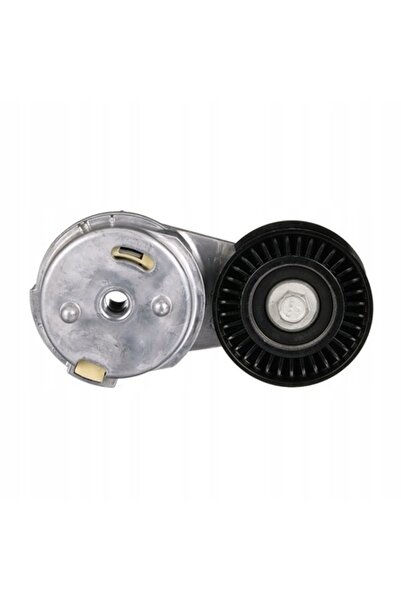 GATES T39072 Tensionator pentru curea trapezoidală