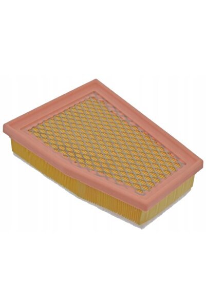 BLUE PRİNT Filtru de aer, ADV182225, maro