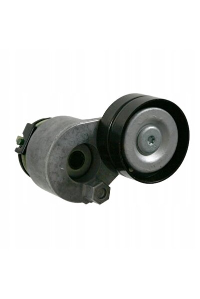 FEBI BILSTEIN Intinzator Curea Curea Distributie Mitsubishi Carisma/Space Sta...