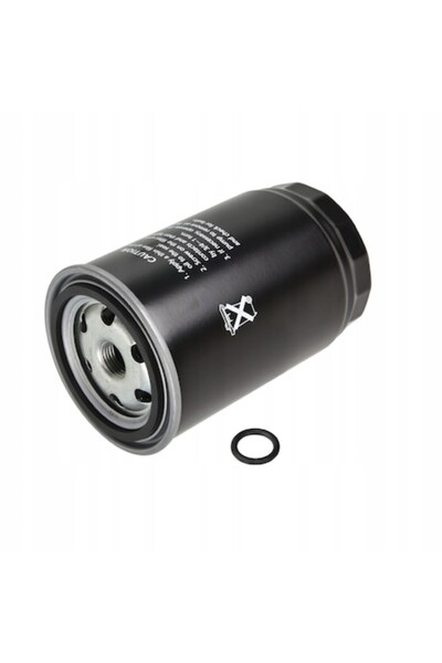 BLUE PRİNT Filtru de combustibil, BLUE PRINT, ADG02392, Negru