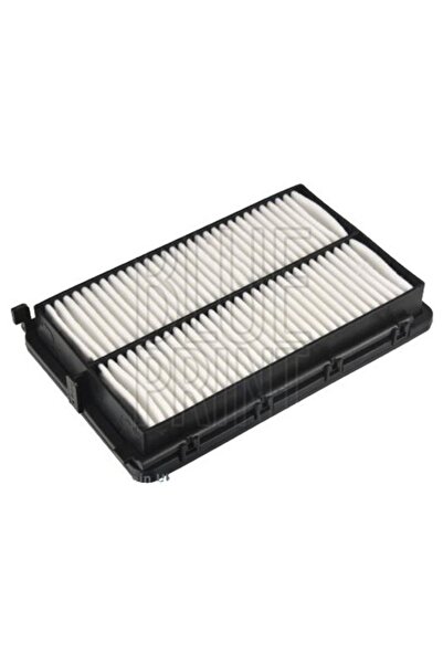 BLUE PRİNT Filtru de aer ADBP220015