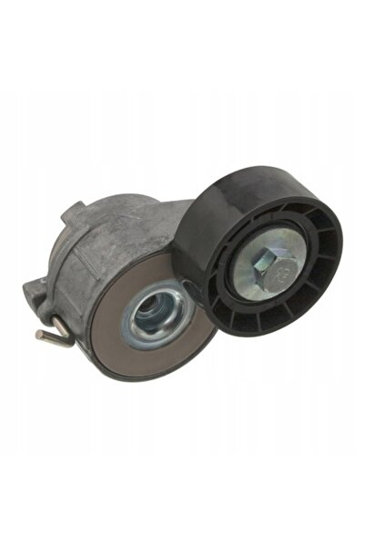 FEBI BILSTEIN Tensioner curea, Febi Bilstein, 34805, aluminiu/plastic, argint...