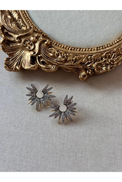 LEROSY CO. Gold Plated Stainless Steel Women's Earrings with Sun Figured Zirc...