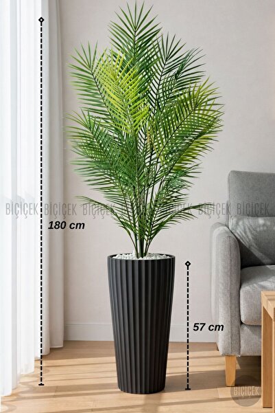 BİÇİÇEK 180 CM AREKA AĞACI 24 YAPRAKLI LİLYUM SAKSIDA