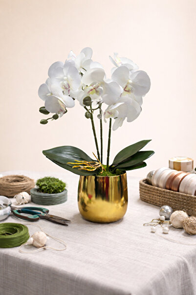 essacraft GOLD CEVİZ VAZO ÇİFT DAL ORKİDE ARANJMANI