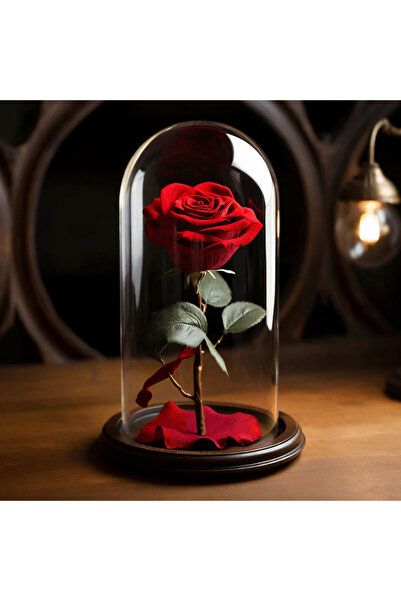 naniland.ro Cryogenic rose in glass dome, with elegant base