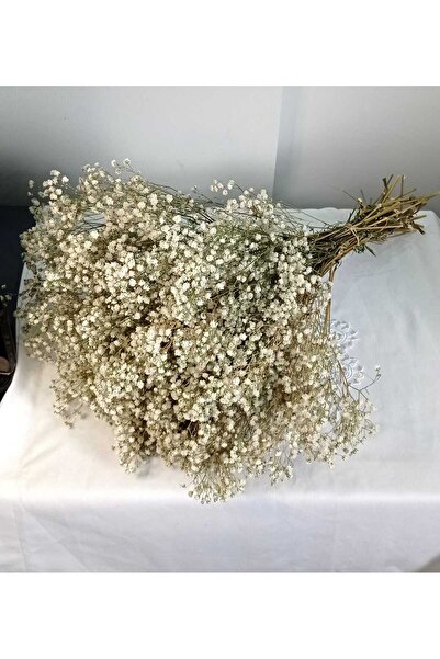 Birlik Cipso Çiçeği Şoklanmış Natürel Beyaz