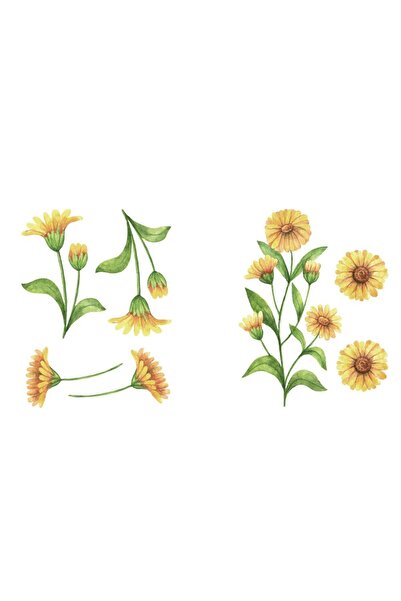 Yash Decorative sticker with Daisies, 6 sheets of stickers, 14.8x21 cm, yello...