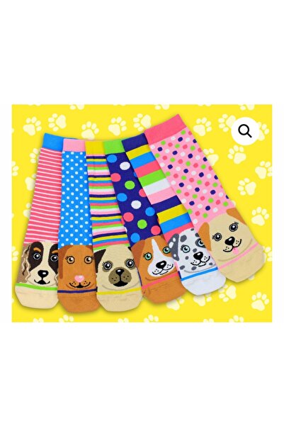 HNSOCKS RENKLİ ÇORAP MAFYASI Hn Socks Cute Dog Patterned Unisex Colorful Sock...