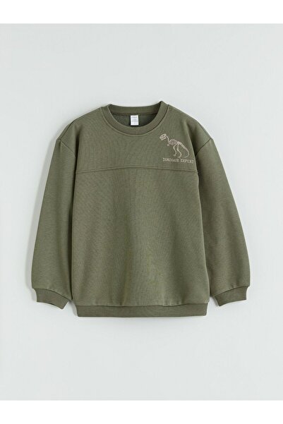LC Waikiki Crew Neck Printed Boy's Thick Sweatshirt