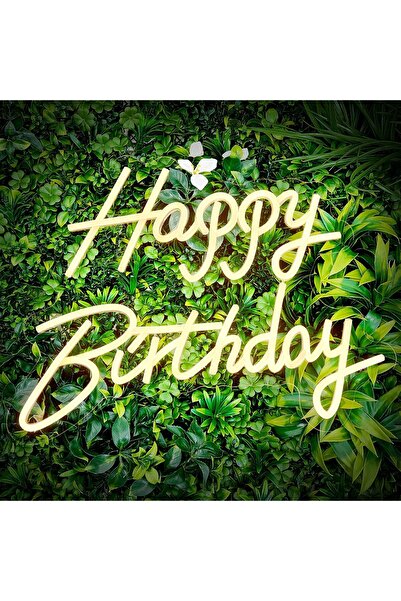 Slasa Happy Birthday LED Neon Sign 41x28 cm, Dimmable Wall Light for Parties