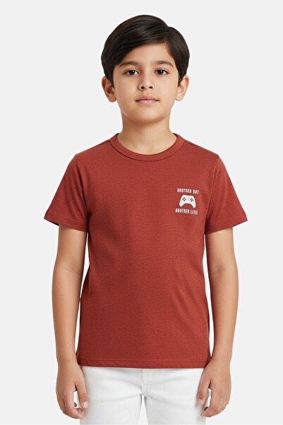 The Children's Place Toddlers Boy Short Sleeve Graphic Print T-Shirt, Rust