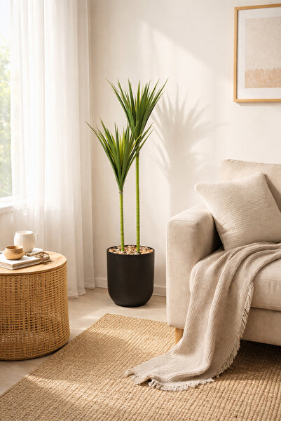 SADANHOME Cactus plant, 2 branches, 125cm plastic pot