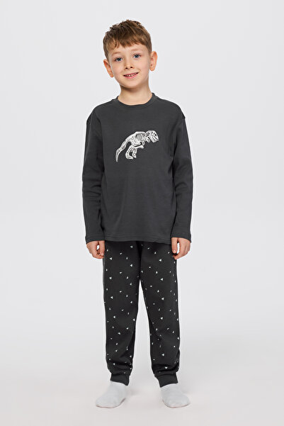 Panço Erkek Çocuk Dinozor Baskılı Antrasit Pijama Takımı