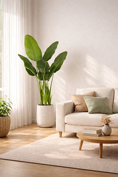 SADANHOME شجر ورق موز 3 حوض بلاستيك 160سم