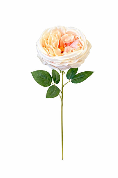 OEM Artificial rose, discreet cream, extra rich petals, 50 cm, flower diamete...
