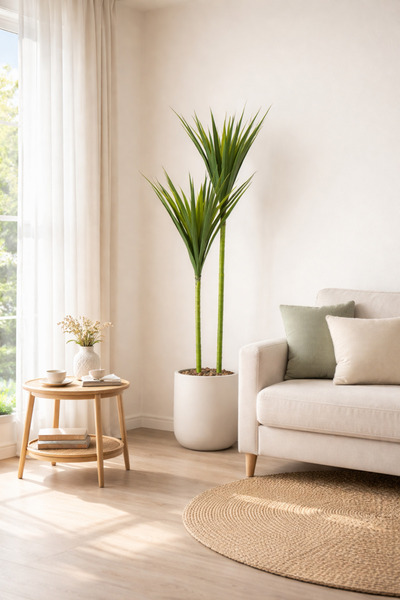 SADANHOME شجر صبار 2 فرع حوض بلاستيك 125سم