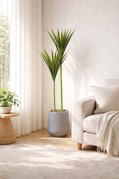 SADANHOME Cactus plant, 2 branches, 125cm plastic pot