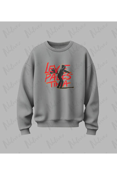 Nulivez Palestine Design Printed High Quality Unisex Oversized O Neck Sweatshirt