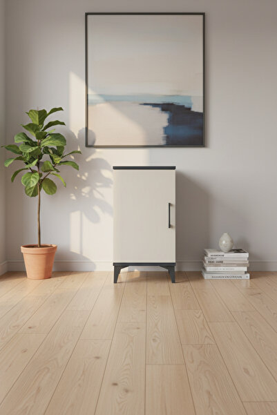 EnTrendMobilya Aura Komodin: 2 Raflı, Tek Kapaklı Antrasit & Aytaşı Şıklığı (...