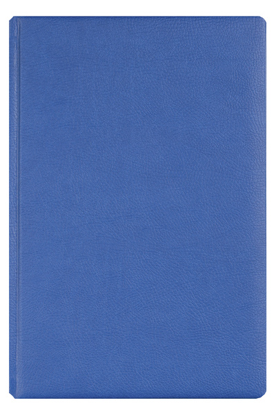 Ego Agenda zilnică A5 albastră 2026 Office