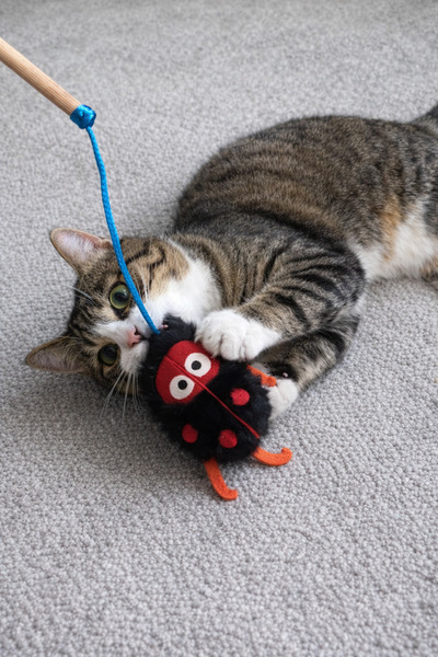 mastercat Lucky Ladybug Cat Fishing Rod - Cat Grass Toy