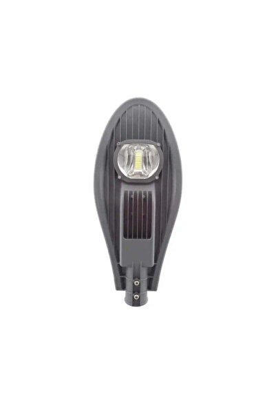 OEM Fantas Street Lamp, 50W, 6500K