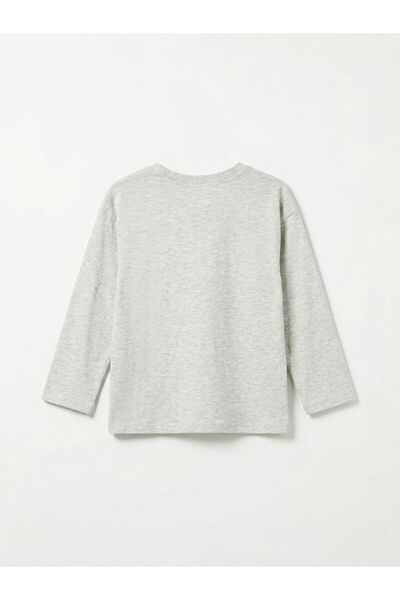 LC Waikiki Crew Neck Embroidered Girl's T-Shirt