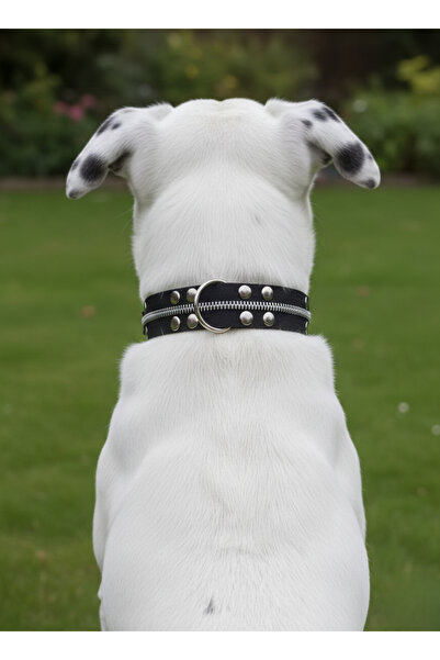 balkonda Dog Collar Adjustable Small, Medium and Large Breed Leather with Zip...