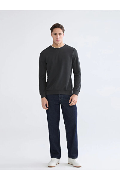 LC Waikiki سويت شيرت رجالي من LCWAIKIKI كلاسيكي باللون الأنثراسيت برقبة دائرية