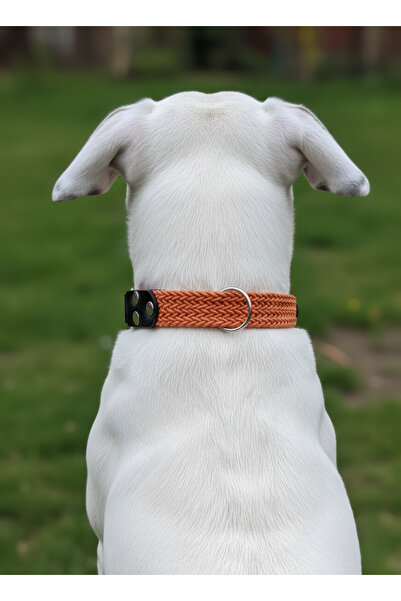 balkonda Dog Collar Adjustable Small, Medium, Large and Extra Large Breeds Me...
