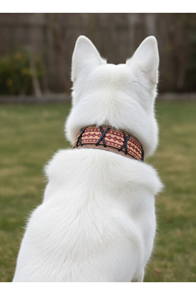 balkonda Dog Collar Adjustable Small, Medium and Large Breed 5cm Width Leather